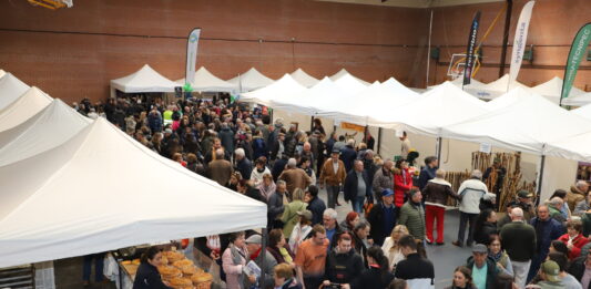 Feria de Las Candelas de Saldaña
