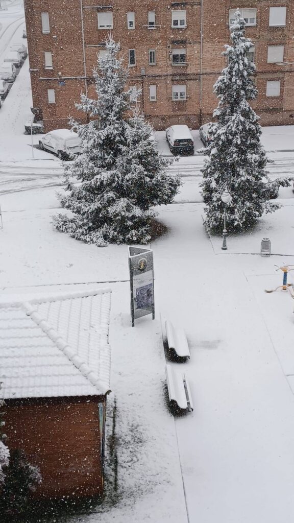 Nevada en Guardo el 20 de enero de 2025. Fotografía cedida por Julita