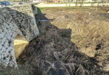 Imagen proporcionada por el Ayuntamiento de Villamuriel de Cerrato