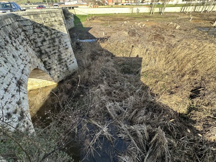 Imagen proporcionada por el Ayuntamiento de Villamuriel de Cerrato