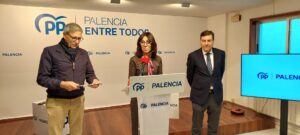 PP ley violencia de género