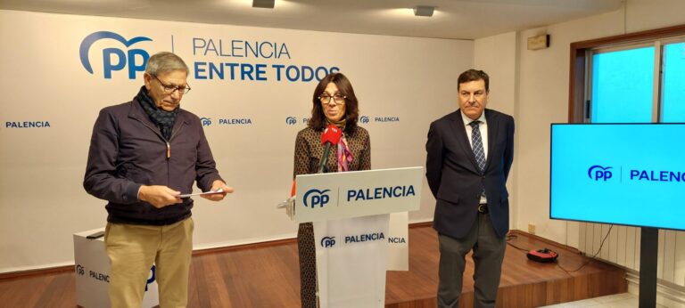 PP ley violencia de género