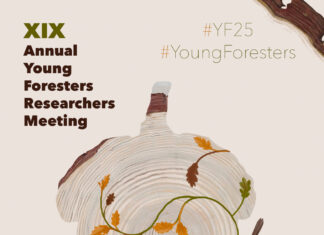 cartel_A3_YF25