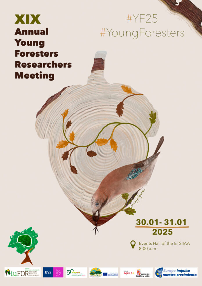 cartel_A3_YF25