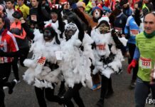 San Silvestre palentina
