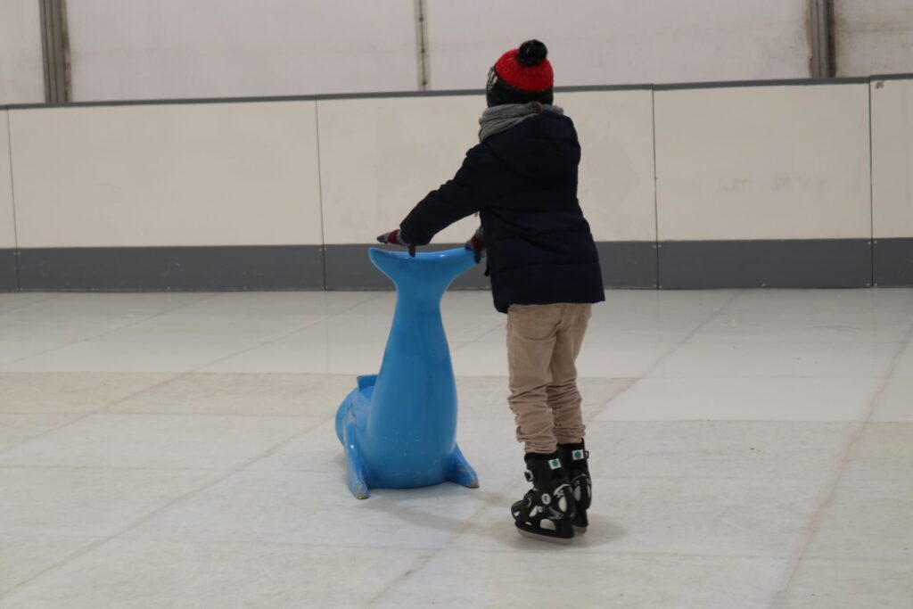 pista patinaje sintético