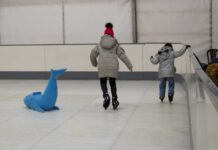 pista patinaje sintético