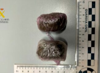 Imagen proporcionada por la Guardia Civil de Palencia