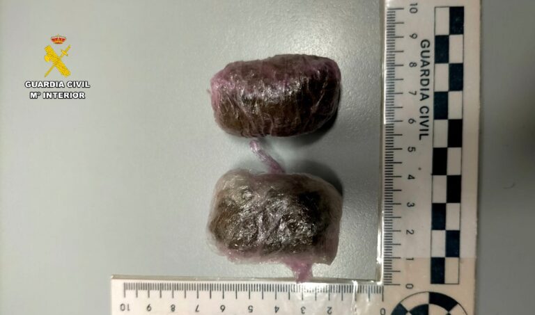 Imagen proporcionada por la Guardia Civil de Palencia