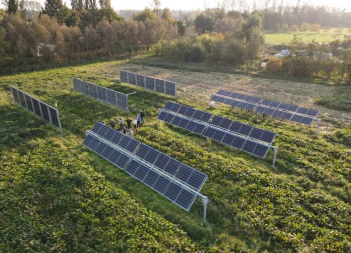 Placas solares