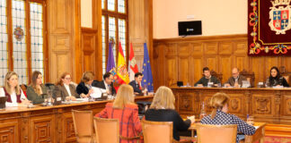 Pleno-20-de-febrero