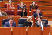 Pleno de las Cortes de Castilla y León