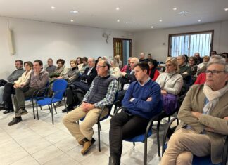 pp palencia