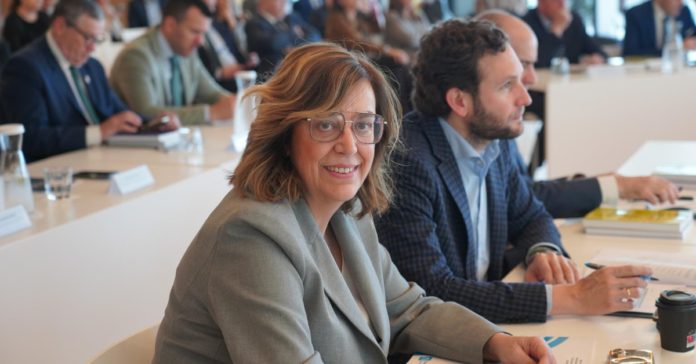 Ángeles Armisén