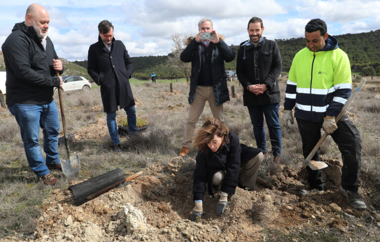 Bosque Paradores - Dueñas