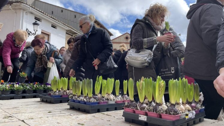 Día de la mujer en Saldaña