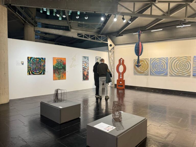 Exposición 'Tempus Fugit' en el Museo de Palencia, a cargo de Artistas Independientes AI+. | A. Acitores