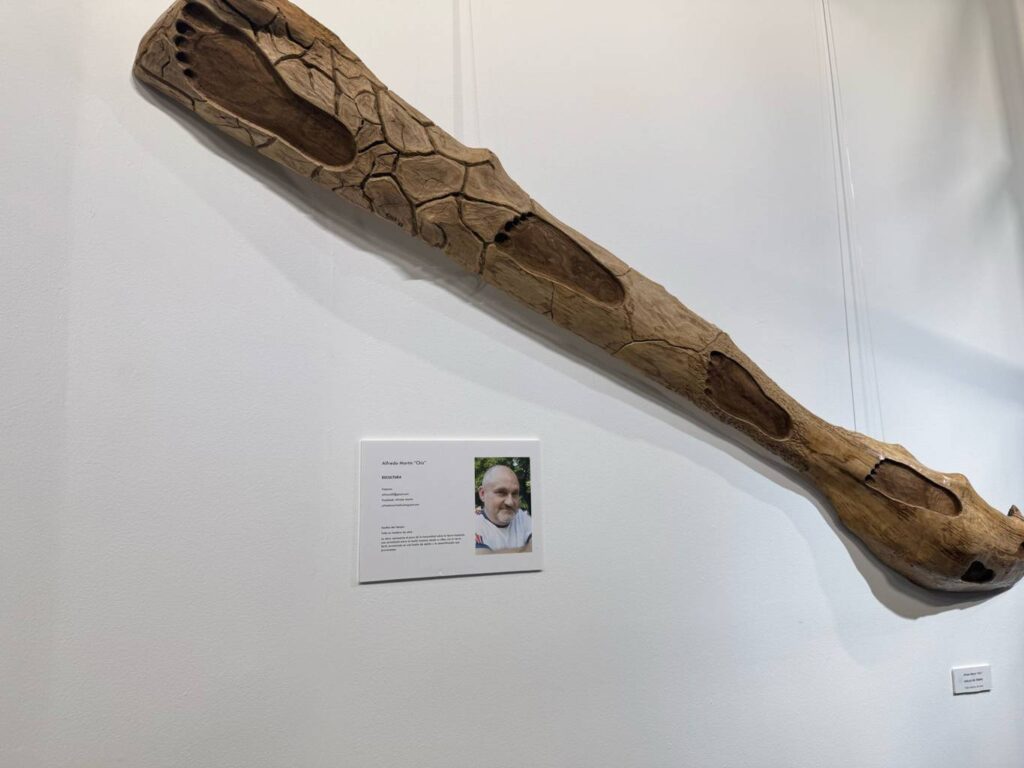 Exposición 'Tempus Fugit' en el Museo de Palencia, a cargo de Artistas Independientes AI+. | A. Acitores