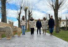Pedraza de Campos