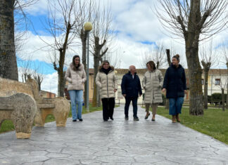 Pedraza de Campos
