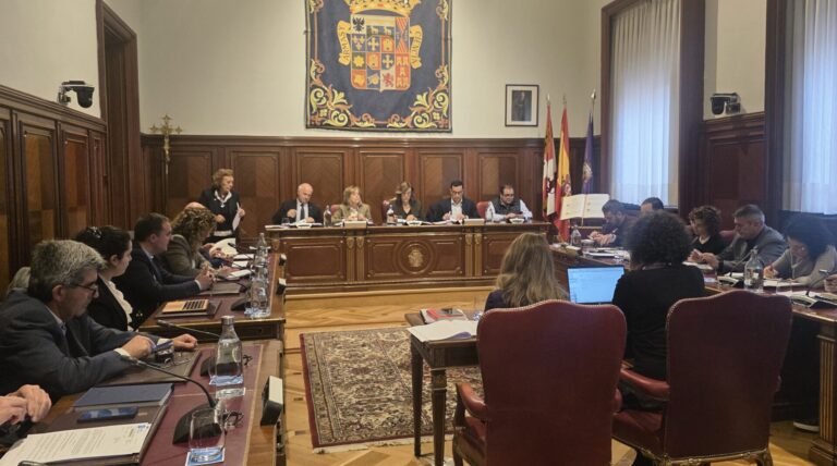 Pleno de marzo de la Diputación de Palencia
