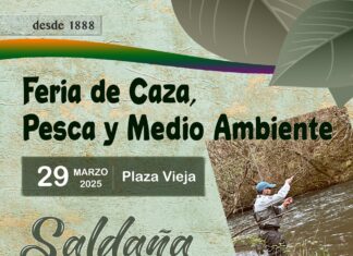 saldaña feria
