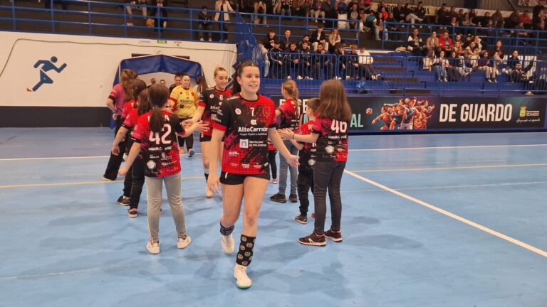 BM Fuentes Carrionas ante Rodavigo