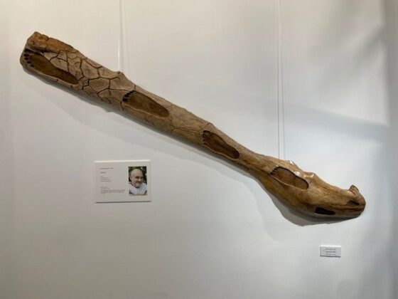 Exposición Tempus Fugit