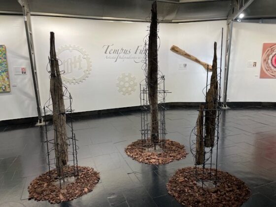 Exposición Tempus Fugit