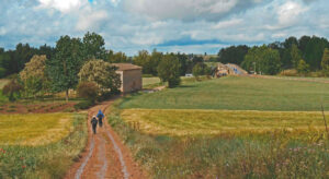 Fundación Santa María La Real publica guia cambio climático camino de santiago