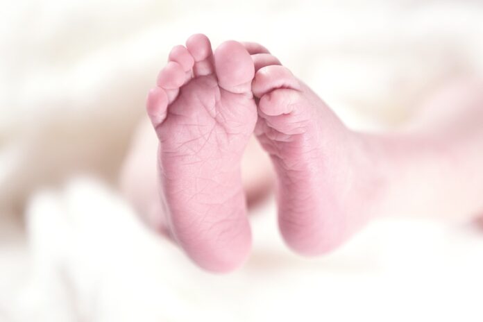 La primera resolución de las ayudas a la natalidad de la Diputación de Palencia reparte más de 38.000 euros a 70 familias