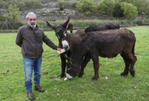 En el Centro de Ocio ‘Los Caños’, Luis Cantera se dedica ha conservar esta especie de burro en peligro de extinción