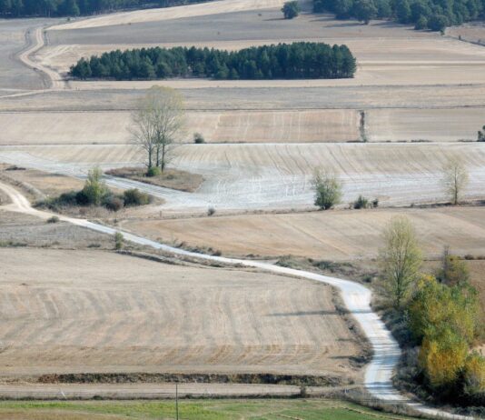 Camino rural Buenavista de Valdavia