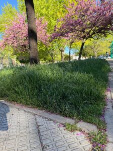 Parques y zonas verdes