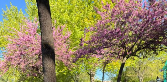 Parques y zonas verdes