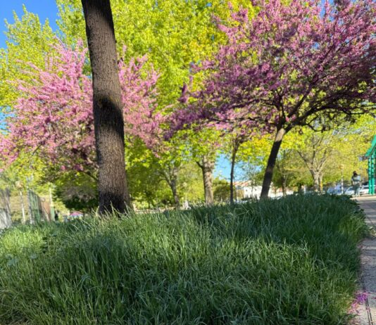 Parques y zonas verdes