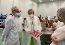 Visita System Lonch