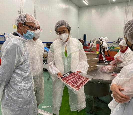 Visita System Lonch