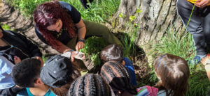 actividad-infantil-en-el-geoparque-de-Las-Loras
