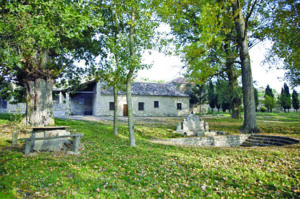 fiestas garon antigüedad