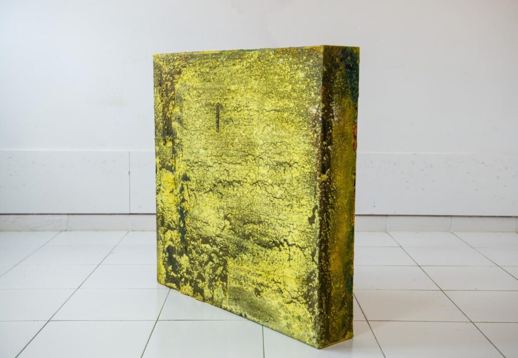 Exposición Alberto Reguera