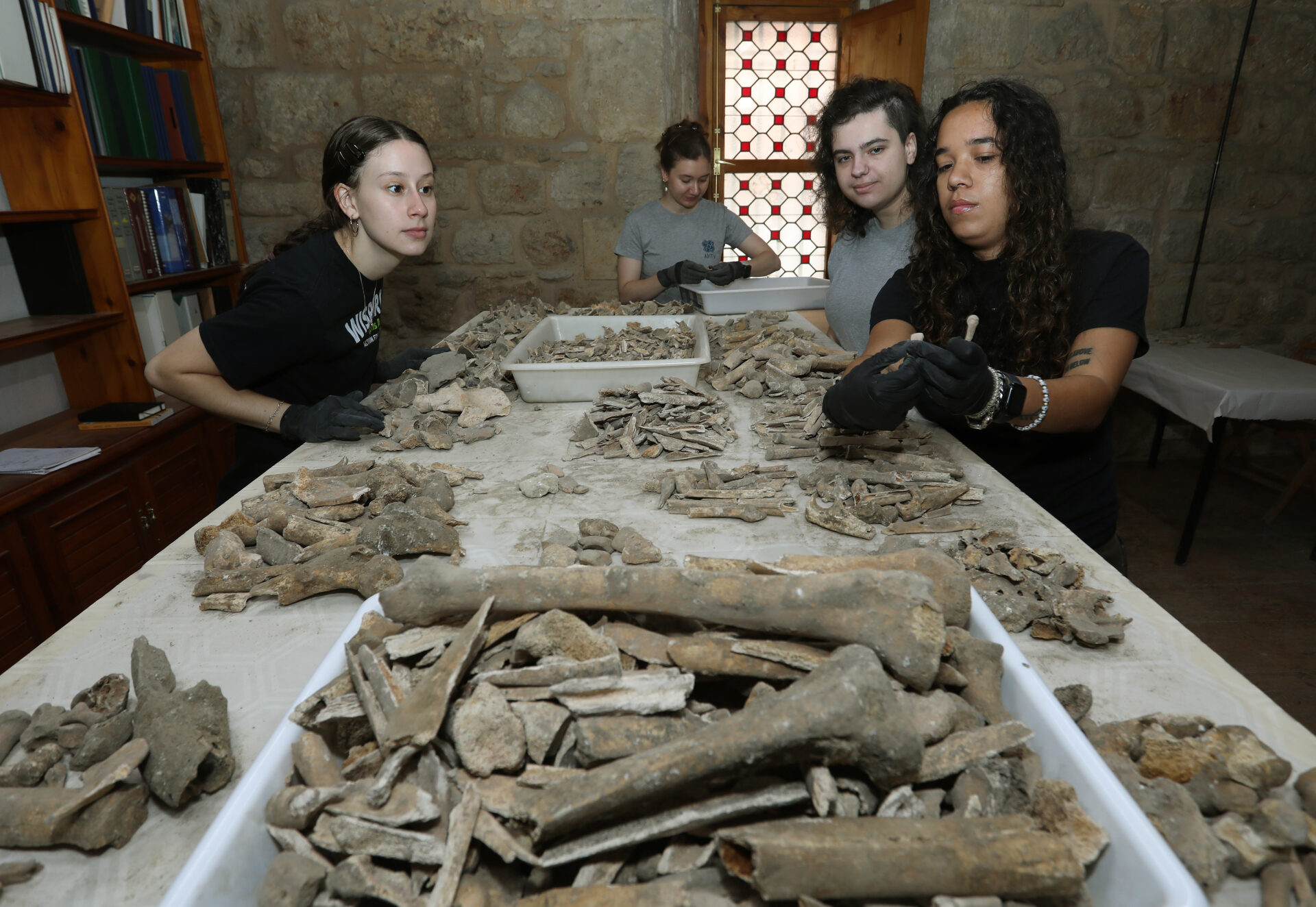 Analisis de restos oseos aparecidos en la restaruación de la capilla de san Isidrode la Catedral de Palencia, en la imagen la arqueóloga, Emma Bonthorne, junto a algunos de los alumnos estudiantes de antropología de diversos paises