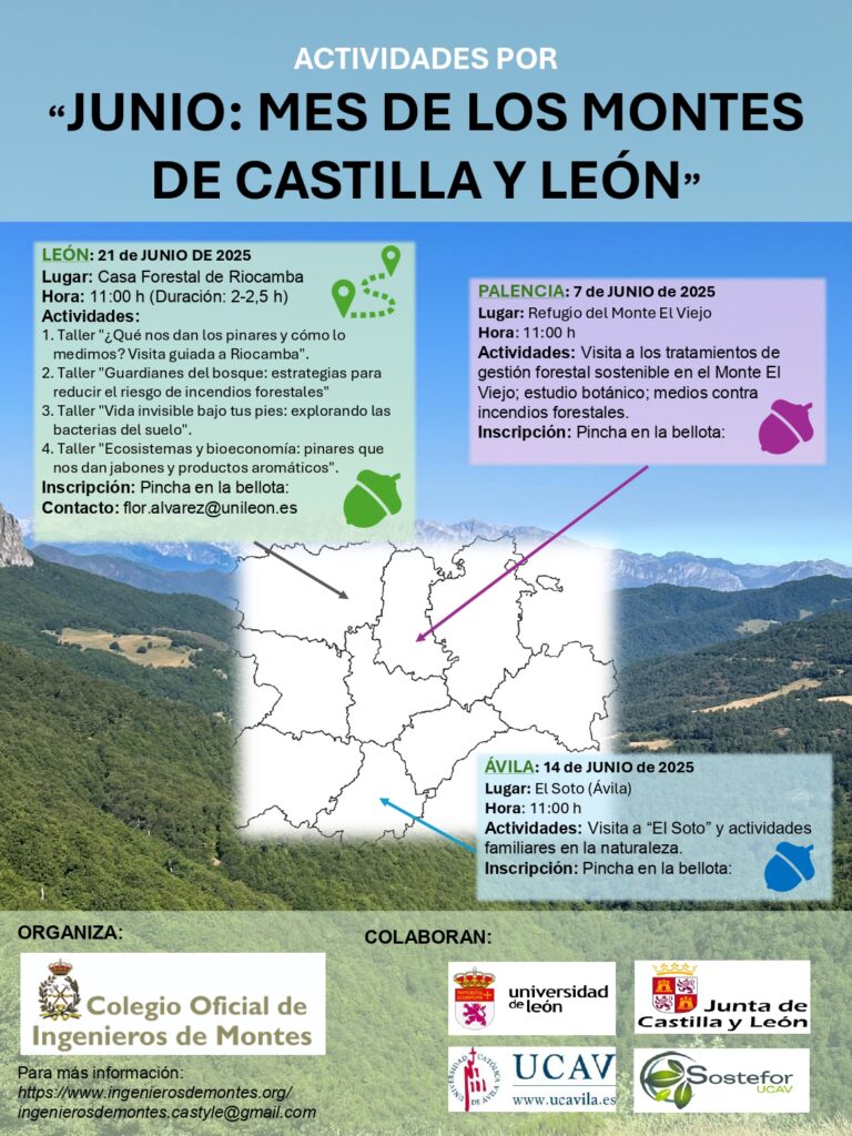 Cartel Dia de los Montes