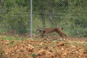 Fotos: Fernando Manrique.