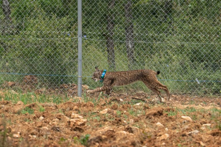 Fotos: Fernando Manrique.