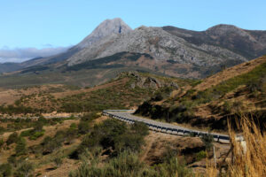 Montaña palentina.