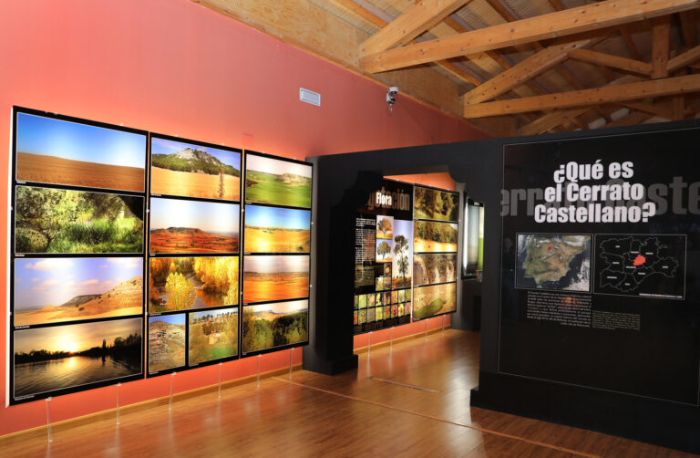 Museo-del-Cerrato---Brágimo-ICAl