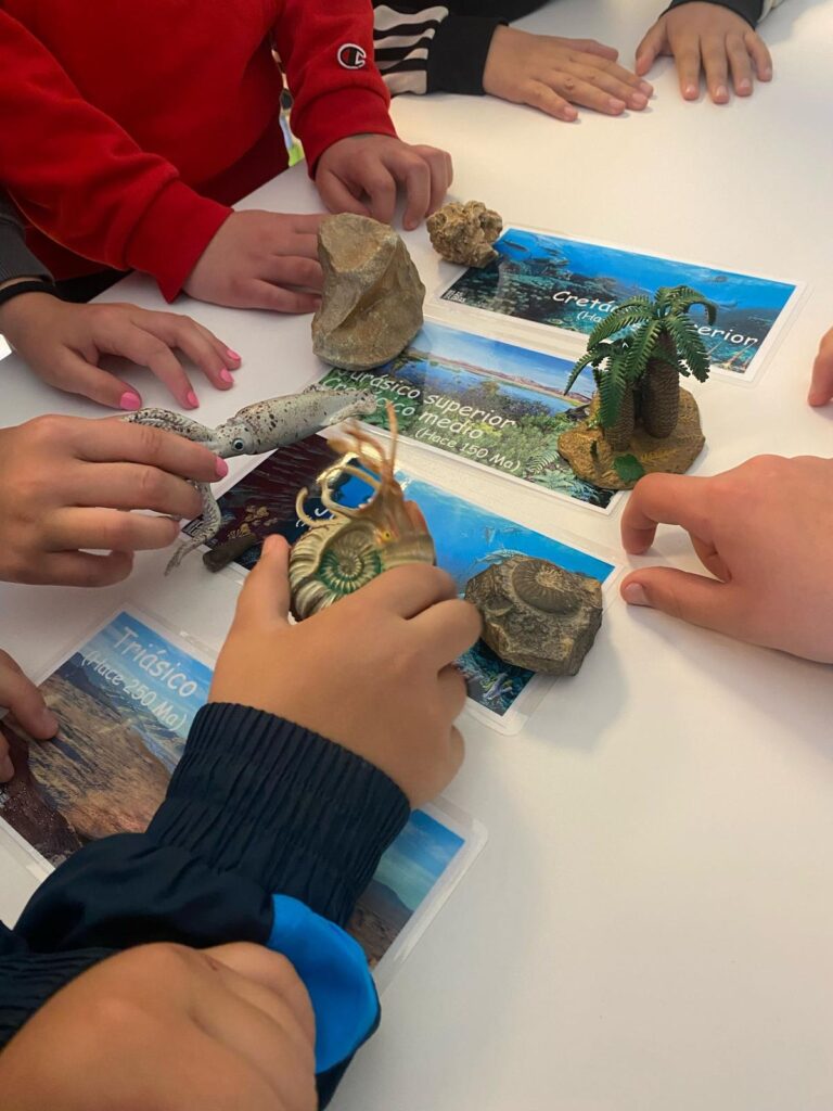 PROGRAMA EDUCATIVO FÓSILES