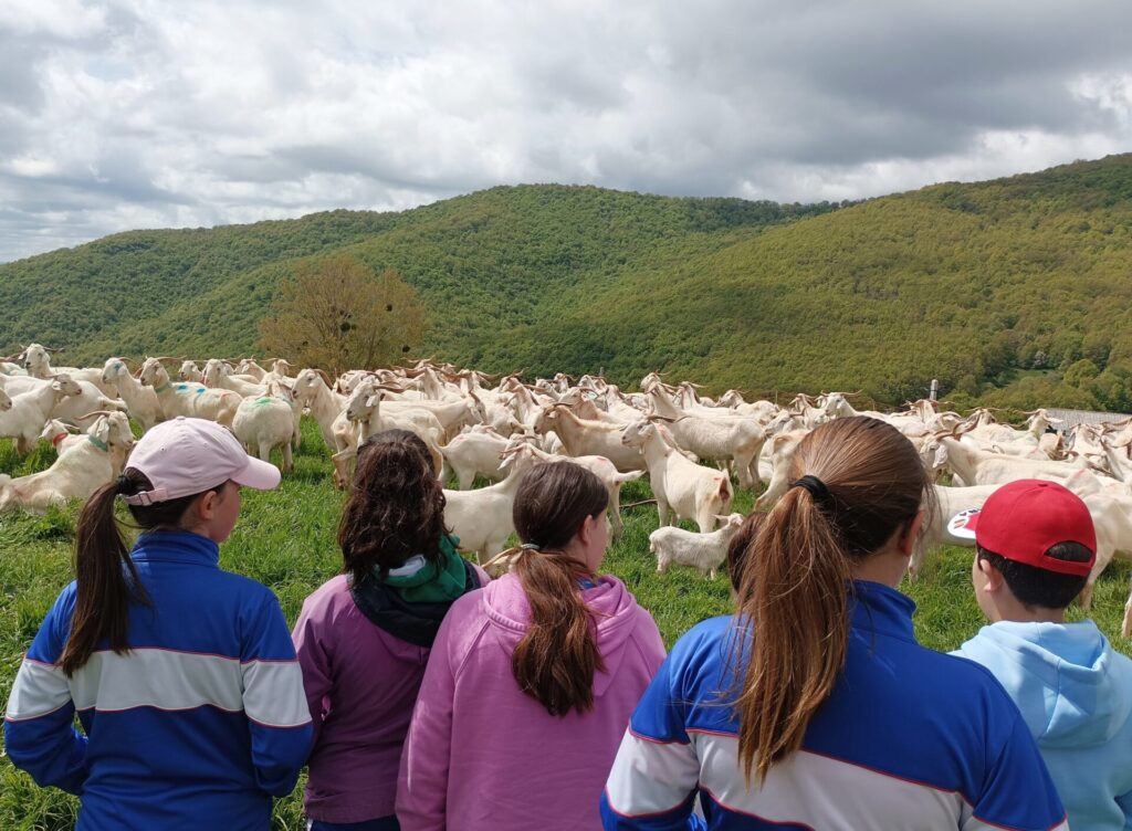 Taller “Que me quiten lo pastao”