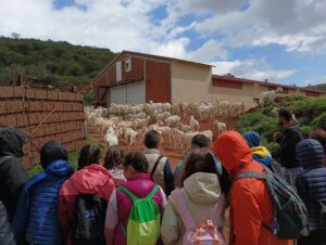 Taller “Que me quiten lo pastao”